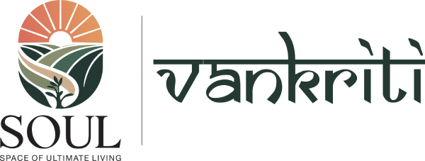 Soul Vankriti